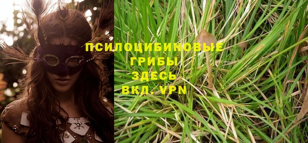 гашик Белоозёрский