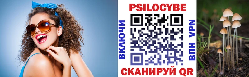 Псилоцибиновые грибы мицелий  Купить где  Венёв 