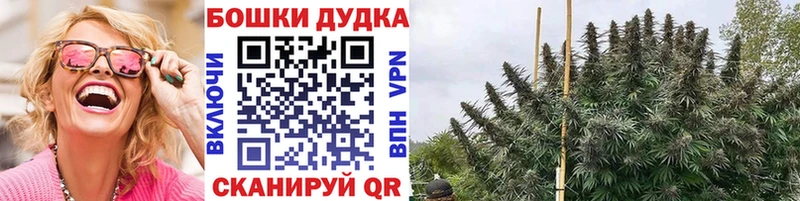 Купить закладки  Венёв  Шишки марихуана семена 